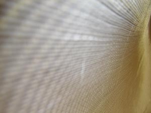 Keahana repair